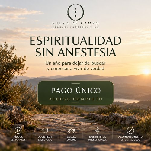 ESPIRITUALIDAD SIN ANESTESIA — PAGO ÚNICO
