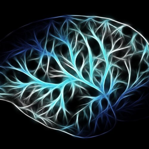 NEUROSCIENZE E PRATICHE POLIVAGALI
