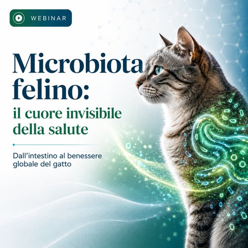 MICROBIOTA FELINO: IL CUORE INVISIBILE DELLA SALUTE