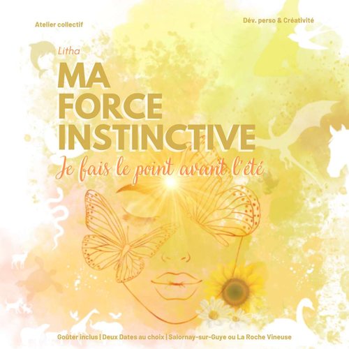 Ma force instinctive Bilan mi-parcours