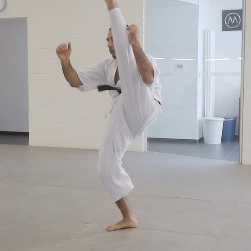 MOBILITY piu KARATE body Mastery