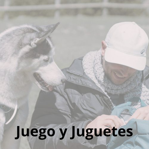 Clase Juego y Juguetes