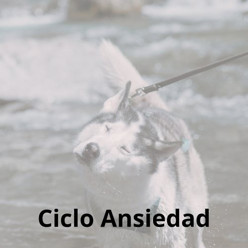 Ciclo Ansiedad 3 charlas